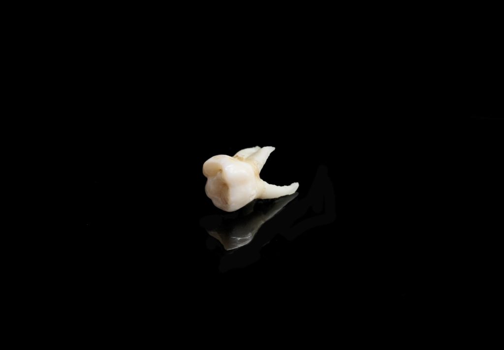 White tooth on a black background