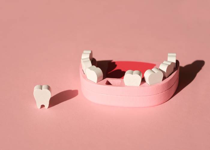 a model of teeth with a tooth out sitting next to it