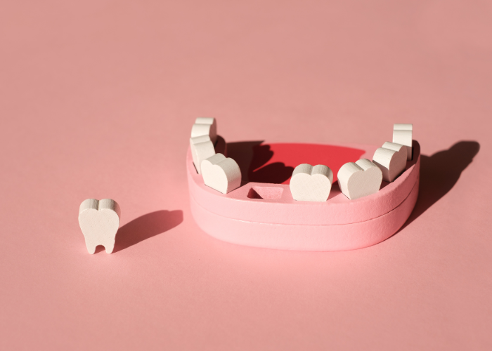 A model of teeth with a tooth out sitting next to it